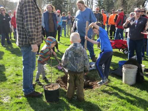 Closeup on the planting location showing the tree in a pot and 3 children with shovels digging the hole